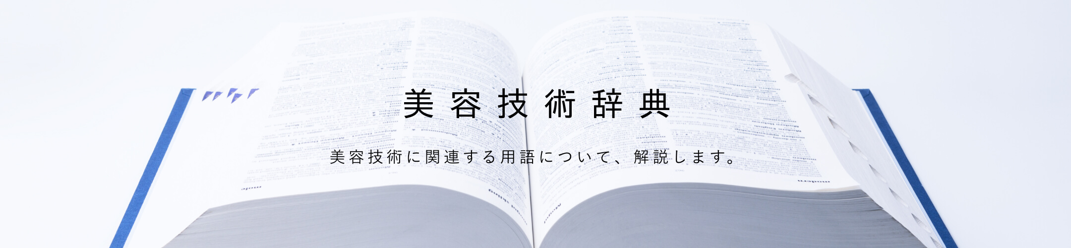 美容技術辞典 美容技術に関連する用語について、解説します。